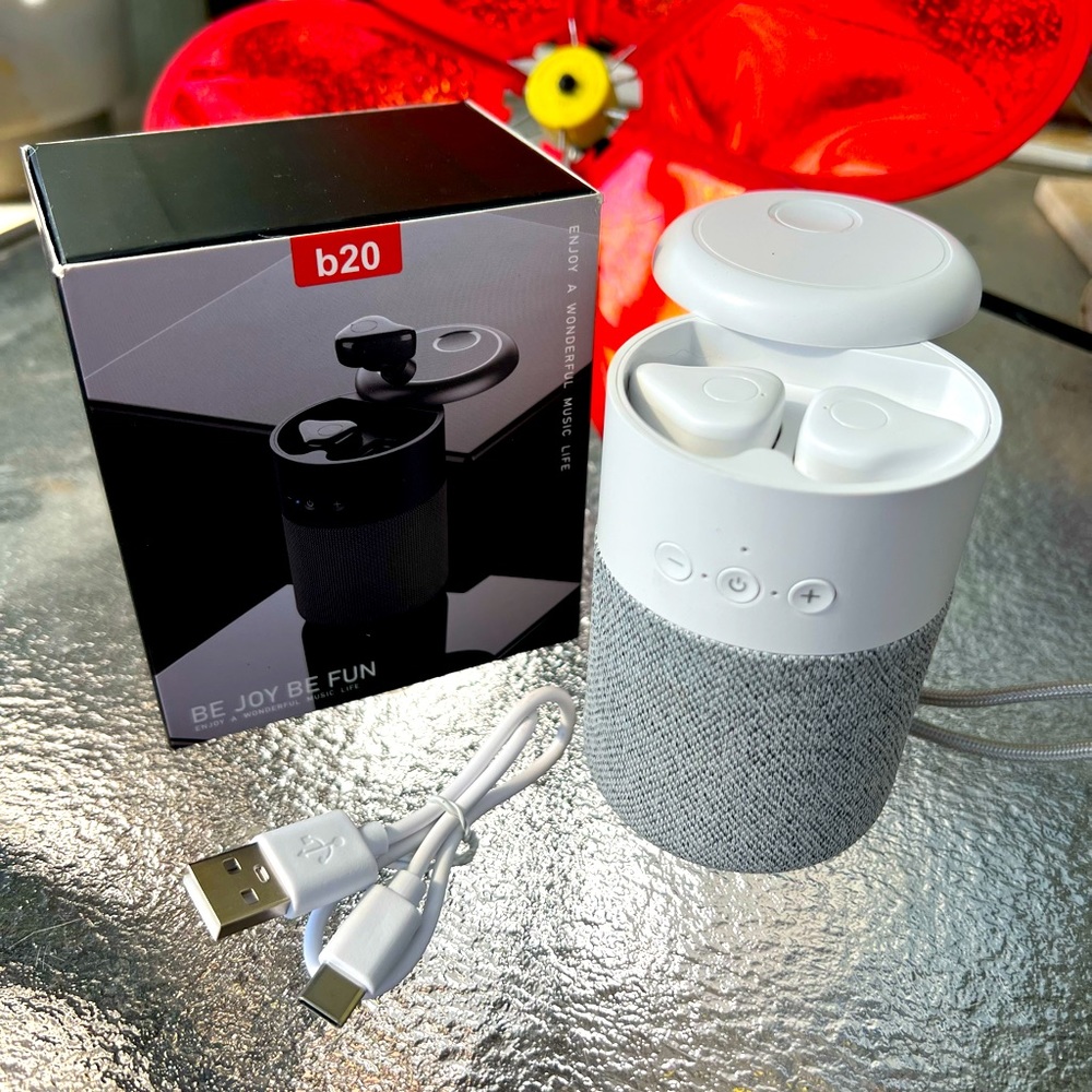 b20 Bluetooth Speaker & Earbuds Combo